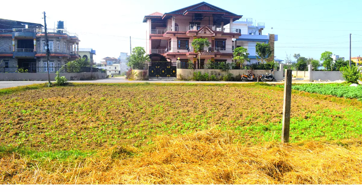 Naurangey, Ward No. 11, Bharatpur Metropolitan City, Chitwan, Bagmati Nepal, ,Land,For sale - Properties,7358