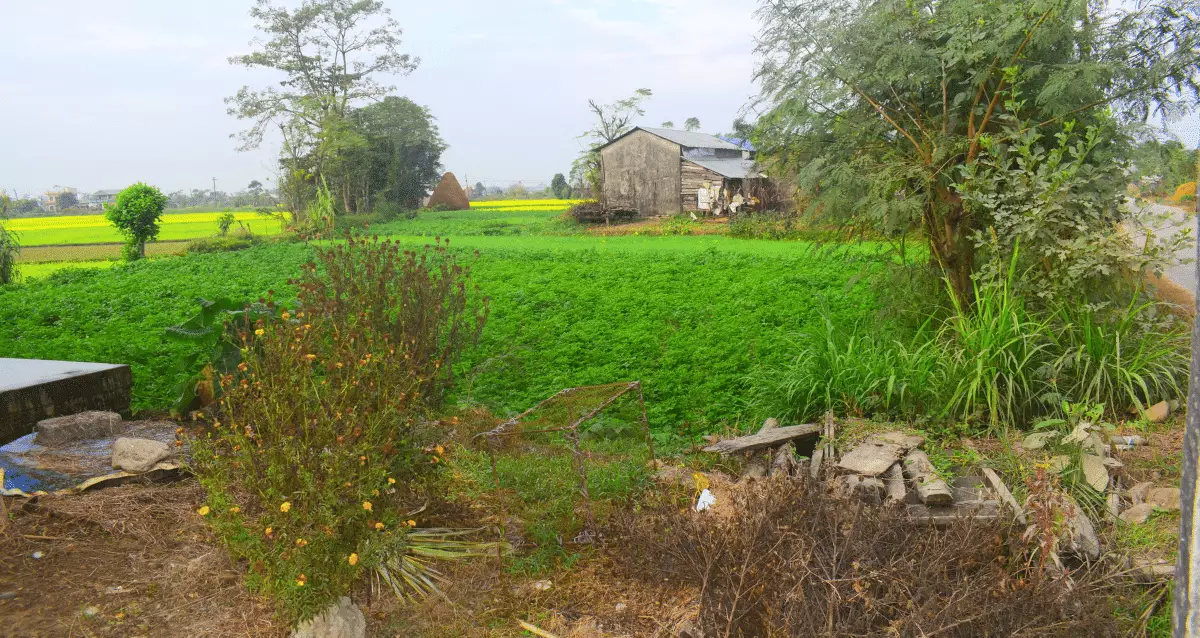 Badgaun, Ward No. 10, Khairahani Municipality, Chitwan, Bagmati Nepal, ,Land,For sale - Properties,7370