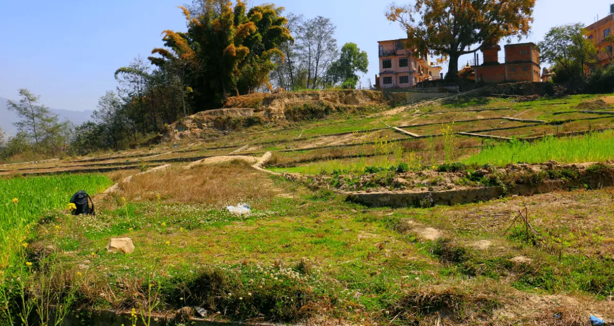 Danchhi, Ward No. 4, Kageshwori Manohara, Kathmandu, Bagmati Nepal, ,Land,For sale - Properties,7878