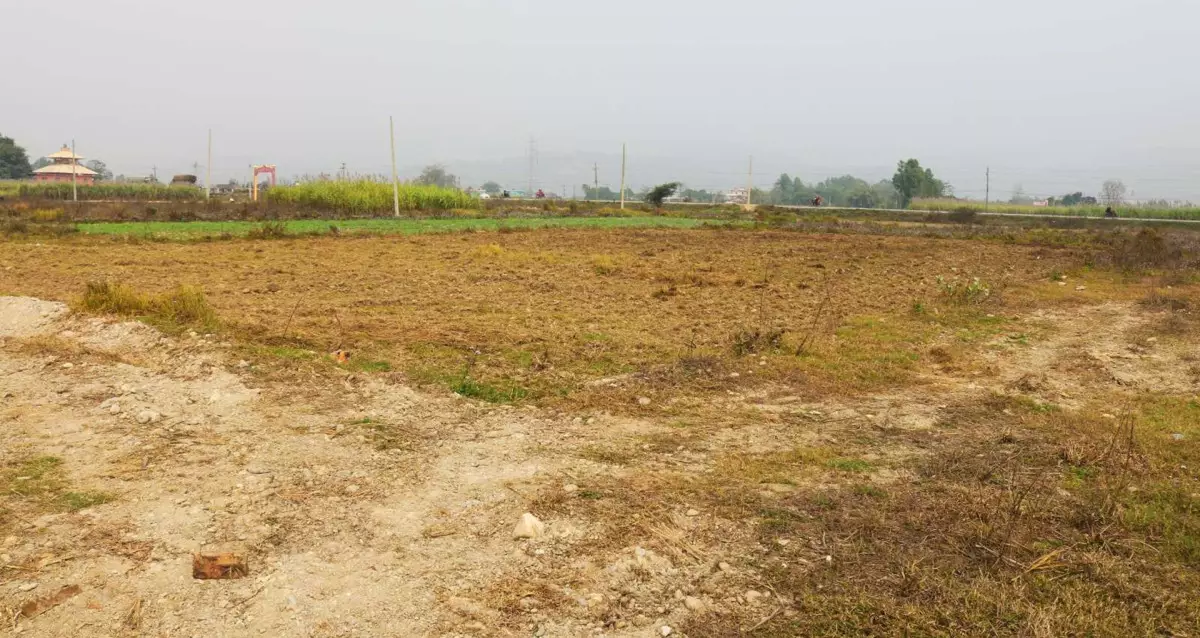 Nocha Chowk, Ward No.10, Hariwan Municipality, Sarlahi, Pradesh 2 Nepal, ,Land,For sale - Properties,8043