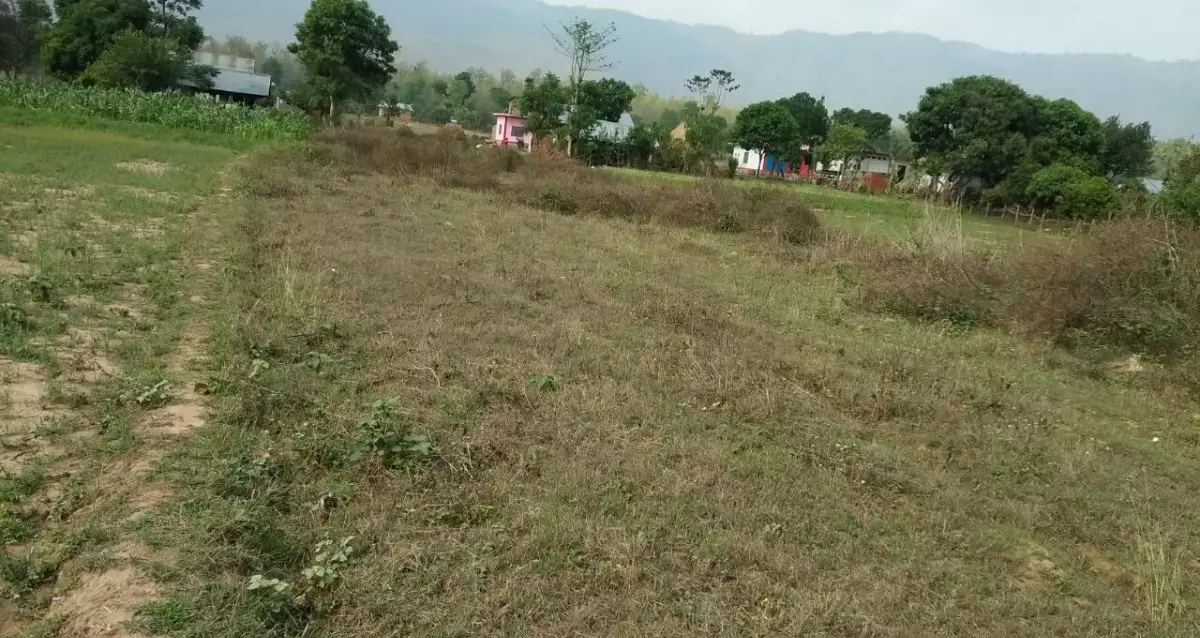 Bangeshal, Ward No .01, Sarumarani gaupalika, Pyuthan, Lumbini Nepal, ,Land,For sale - Properties,8154