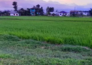 Tarahara, Hasposa, Ward No. 20, Itahari Sub Metropolitan City, Sunsari, Pradesh 1 Nepal, ,Land,For sale - Properties,8200