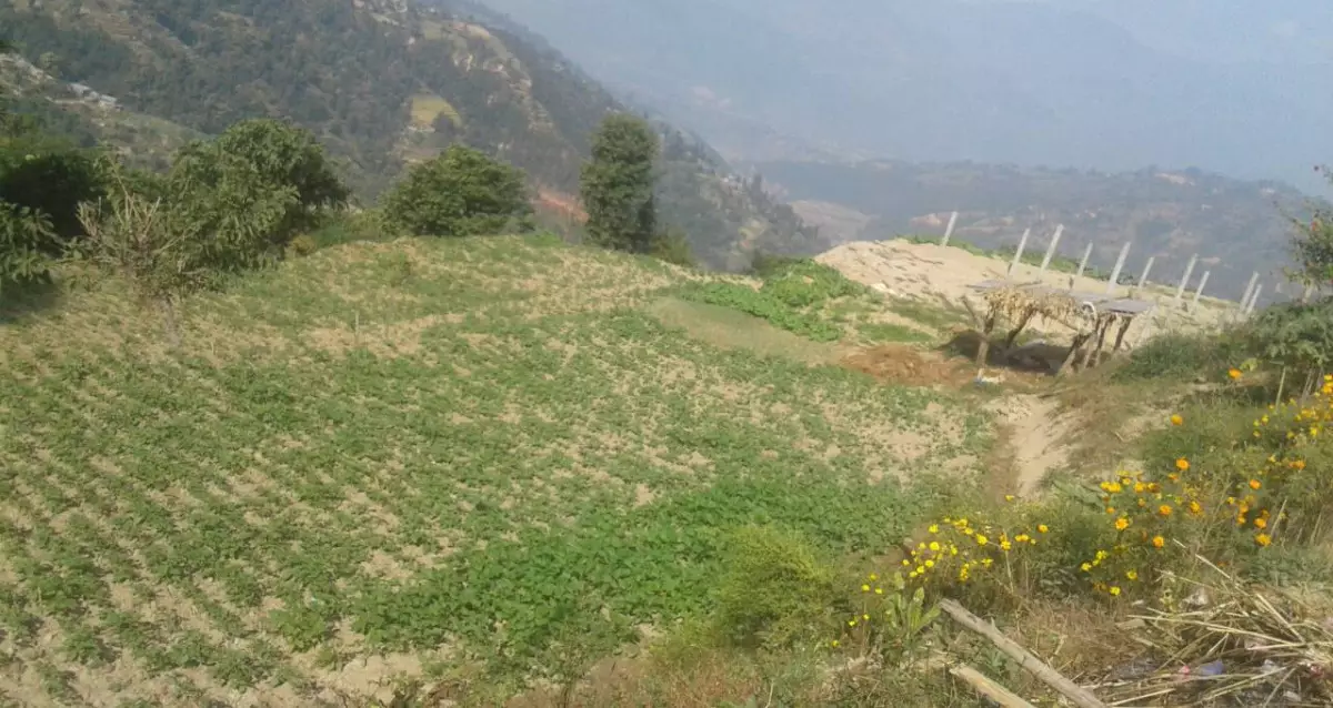 Pakhure, Ward No. 1, Belkotgadhi Municipality, Nuwakot, Pradesh 3 Nepal, ,Land,For sale - Properties,8317