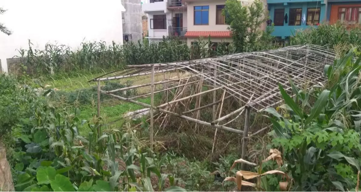 Naya Basti, Ward No. 9, Banepa Nagarpalika, Kavrepalanchowk, Bagmati Nepal, ,Land,For sale - Properties,8381