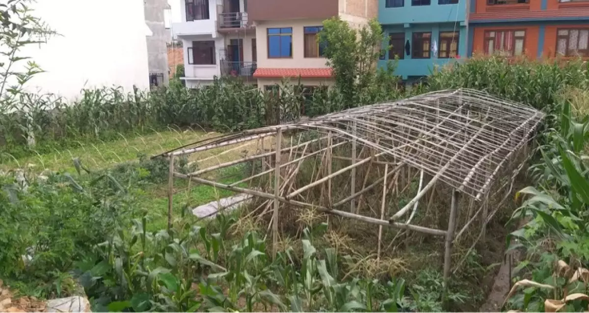 Naya Basti, Ward No. 9, Banepa Nagarpalika, Kavrepalanchowk, Bagmati Nepal, ,Land,For sale - Properties,8381