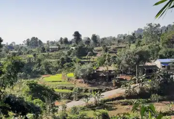 Namuna Tole, Ward No.9, Kalika Municipality, Chitwan, Bagmati Nepal, ,Land,For sale - Properties,8546