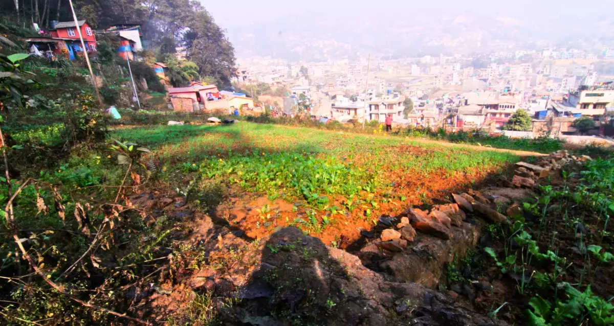 Goldhunga, Ward No. 5, Tarkeshwor Nagarpalika, Kathmandu, Bagmati Nepal, ,Land,For sale - Properties,8566