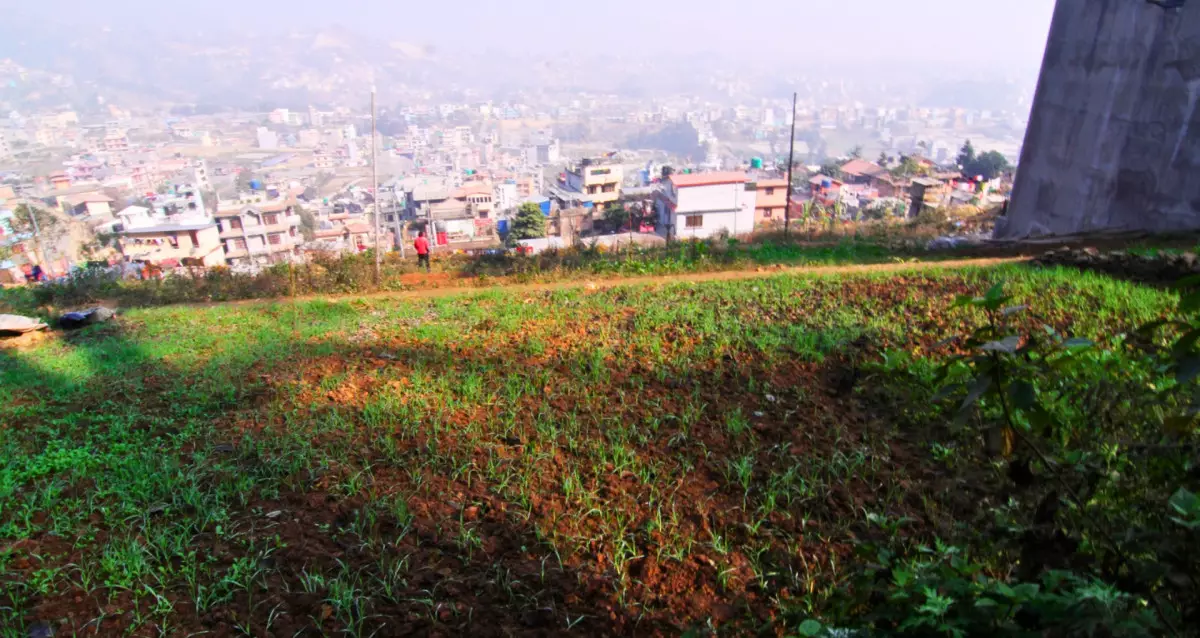 Goldhunga, Ward No. 5, Tarkeshwor Nagarpalika, Kathmandu, Bagmati Nepal, ,Land,For sale - Properties,8566