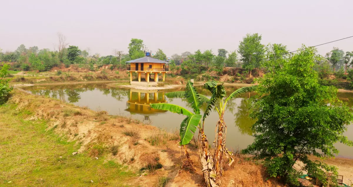 Badgaun, Pipara, Ward No. 10, Khairahani Municipality, Chitwan, Bagmati Nepal, ,Land,For sale - Properties,8663