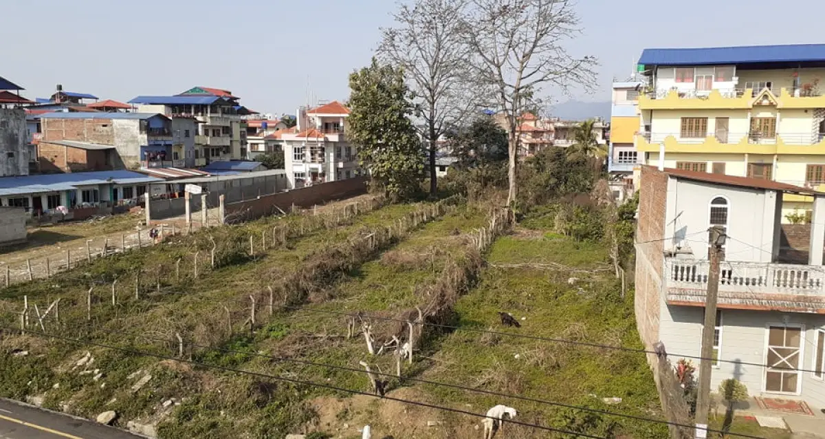 Kshetrapur, Ward No. 2, Bharatpur Metropolitan City, Chitwan, Bagmati Nepal, ,Land,For sale - Properties,8868