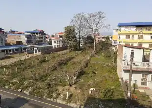 Kshetrapur, Ward No. 2, Bharatpur Metropolitan City, Chitwan, Bagmati Nepal, ,Land,For sale - Properties,8868