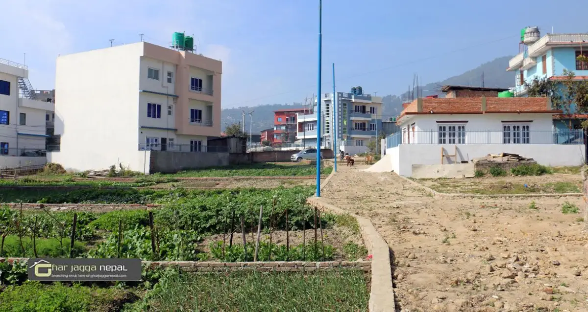 Firfire Danda, Jarankhu, Ward No. 2, Tarkeshwor Nagarpalika, Kathmandu, Bagmati Nepal, ,Land,For sale - Properties,8911