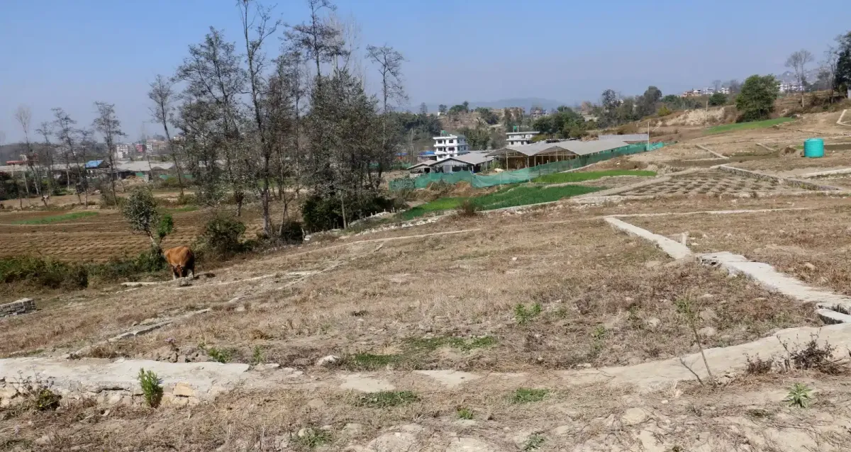 Chitapol, Ward No. 10, Suryabinayak Municipality, Bhaktapur, Bagmati Nepal, ,Land,For sale - Properties,8948