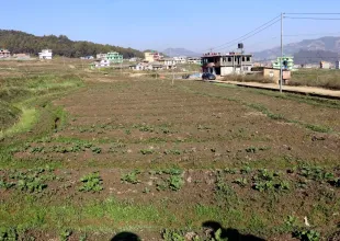 Bhandari Gaun, Ward No.9, Panauti municipality, Kavrepalanchowk, Bagmati Nepal, ,Land,For sale - Properties,8973