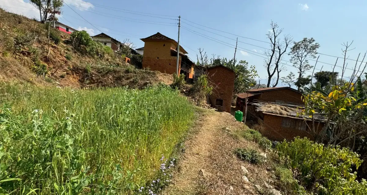 Ratnechaur, Ward No.1, Beni Nagarpalika, Myagdi, Gandaki Pradesh Nepal, ,Land,For sale - Properties,8985