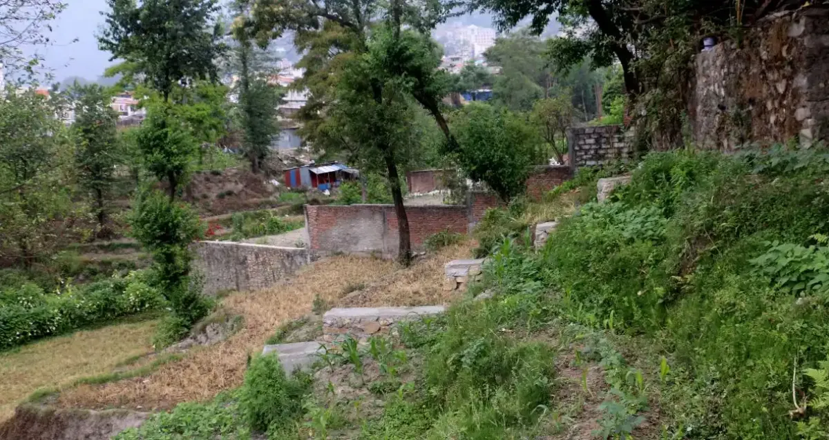 Washiku, Ward No. 2, Budhanilkantha Nagarpalika, Kathmandu, Bagmati Nepal, ,Land,For sale - Properties,9026